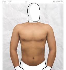 Torso