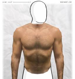 Torso