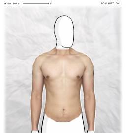Torso