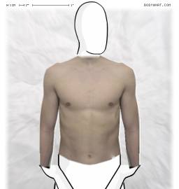 Torso