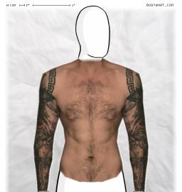 Torso