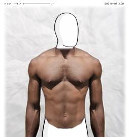 Torso