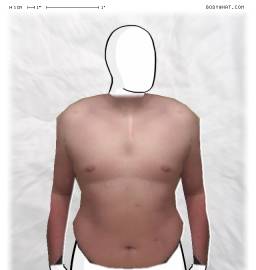 Torso