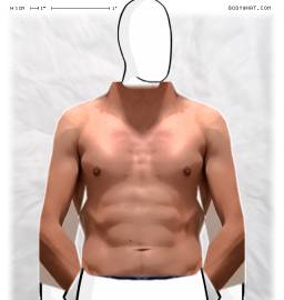Torso