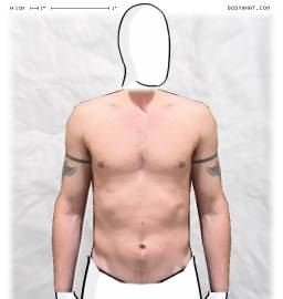Torso