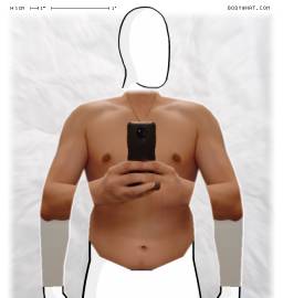 Torso
