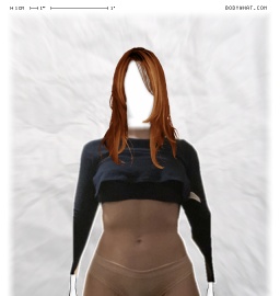 Torso