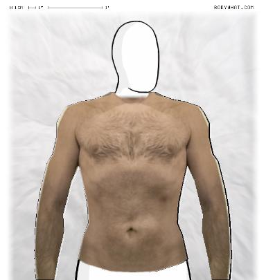 Muscle Morphing