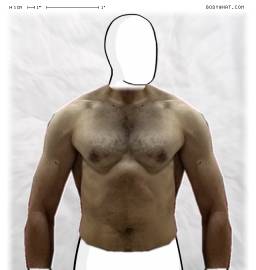 Torso