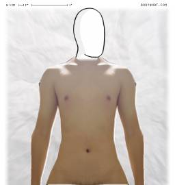 Torso