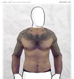 Torso