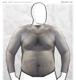 Torso