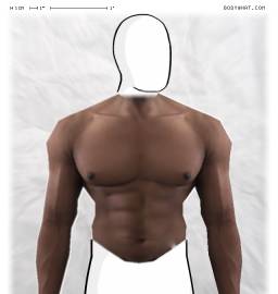 Torso
