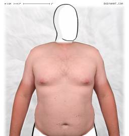 Torso
