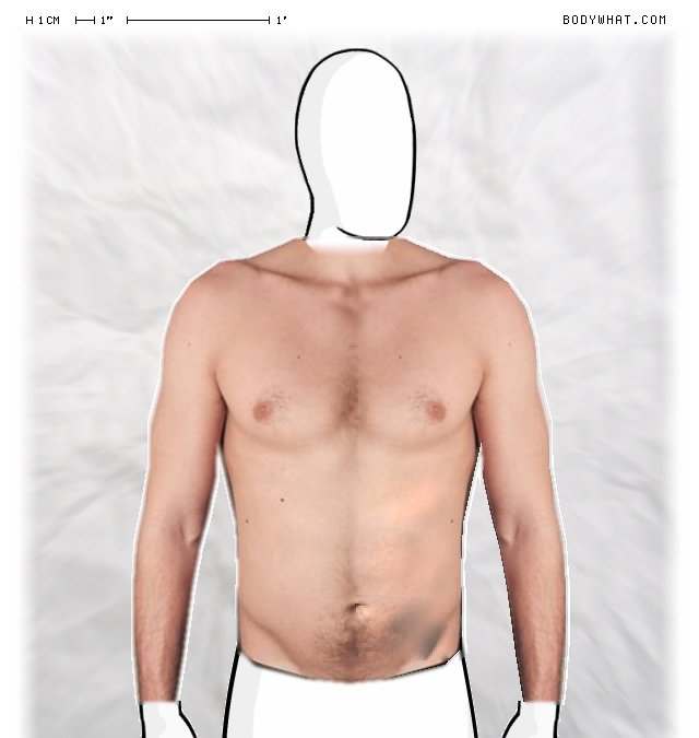 Picture 1