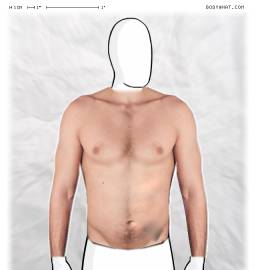 Torso
