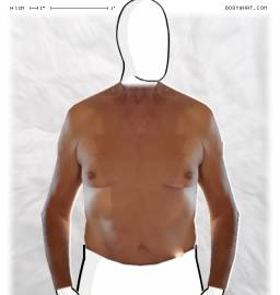 Torso