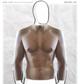 Torso