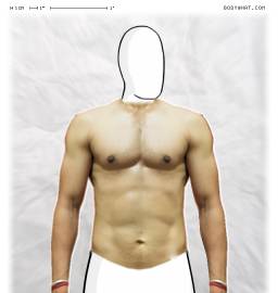 Torso