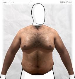 Torso