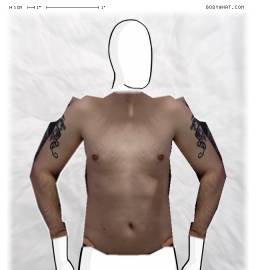 Torso