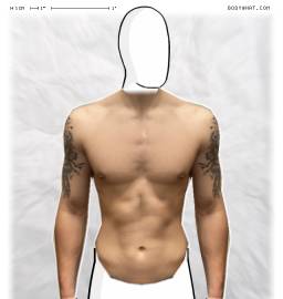 Torso