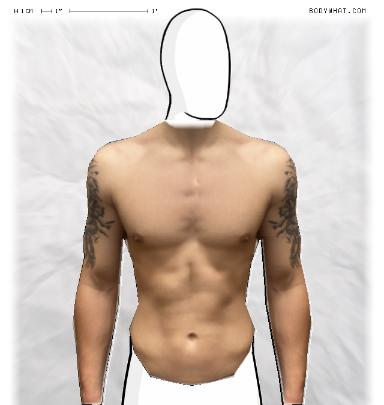 Muscle Morphing