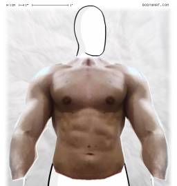 Torso