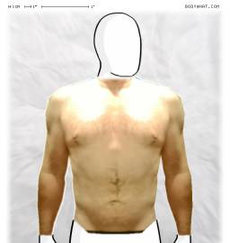 Torso