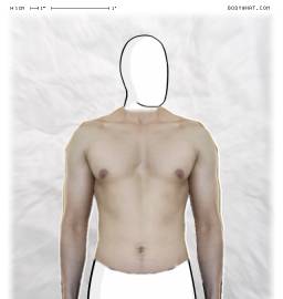 Torso