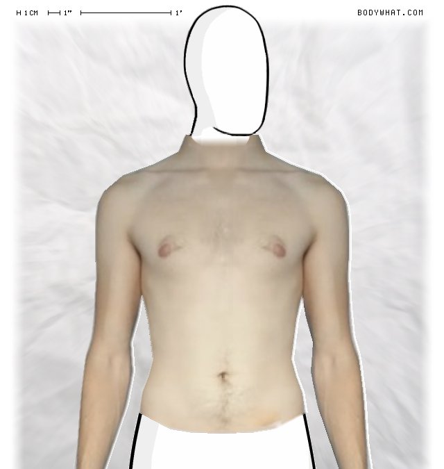 Picture 1