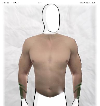Muscle Morphing