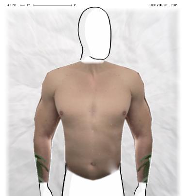 Slim Morphing