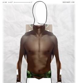 Torso