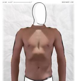 Torso