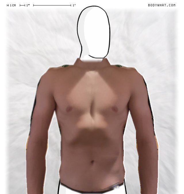 Picture 1