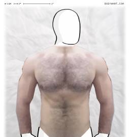Torso