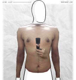 Torso