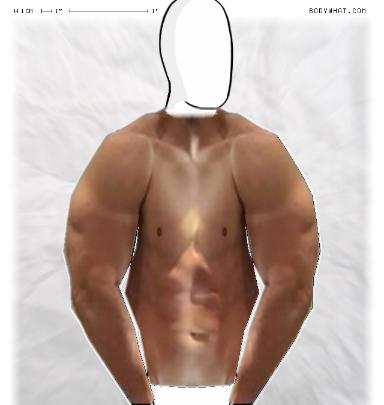 Muscle Morphing