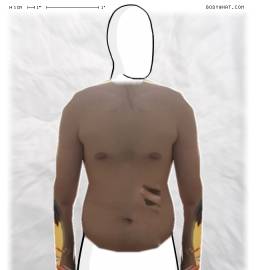Torso
