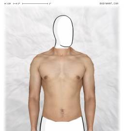 Torso