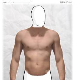 Torso