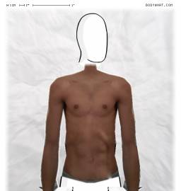 Torso