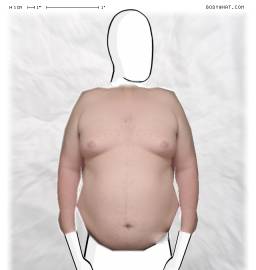Torso
