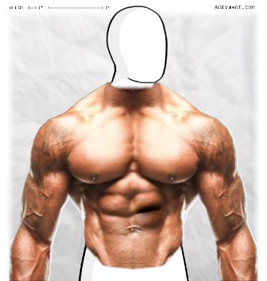 Muscle-ing up
