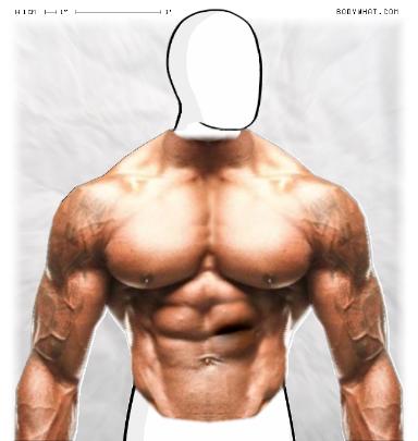 Muscle-ing up