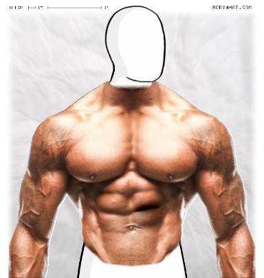 Muscle-ing up
