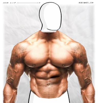 Muscle-ing up