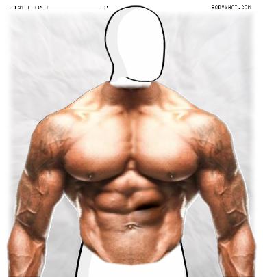 Muscle-ing up