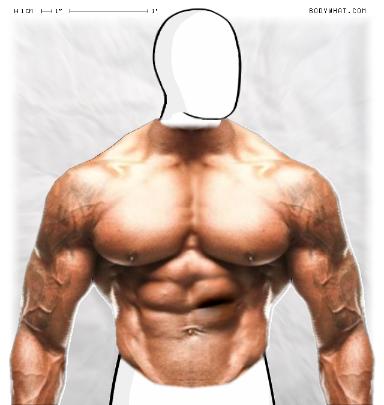 Muscle-ing up